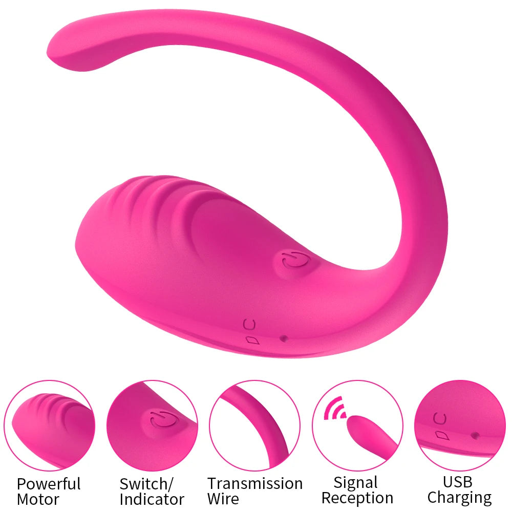 9 Speed APP Controlled Vaginal Wearable Egg